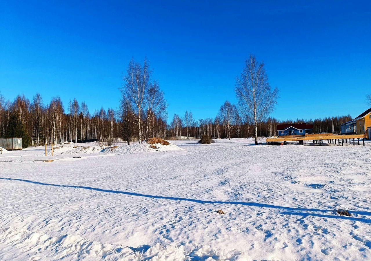 земля городской округ Сергиево-Посадский с Бужаниново 68 км, Краснозаводск, Ярославское шоссе фото 7