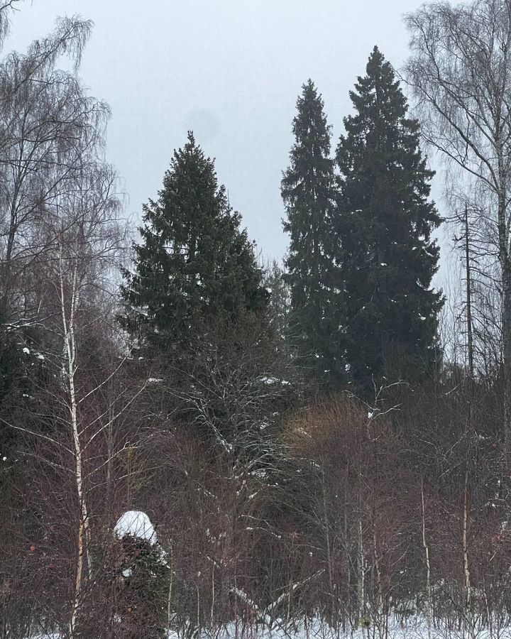 земля городской округ Солнечногорск д Бережки 45 км, Солнечногорск, Пятницкое шоссе фото 13