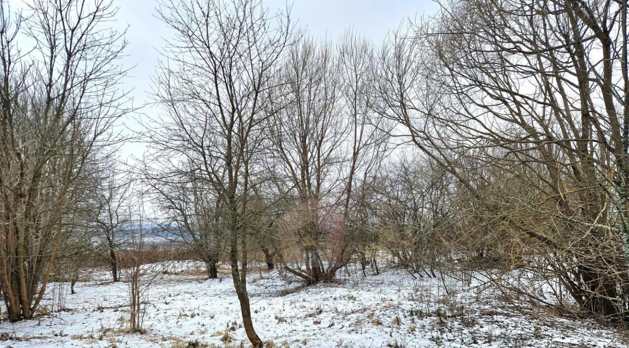 дом городской округ Сергиево-Посадский д Большие Дубравы 13 фото 29