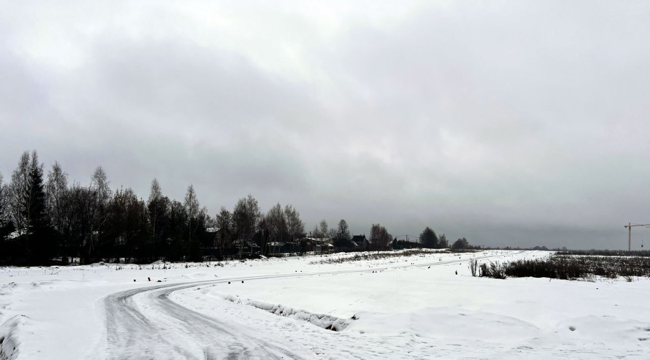 земля городской округ Пушкинский с Братовщина ул Центральная фото 7