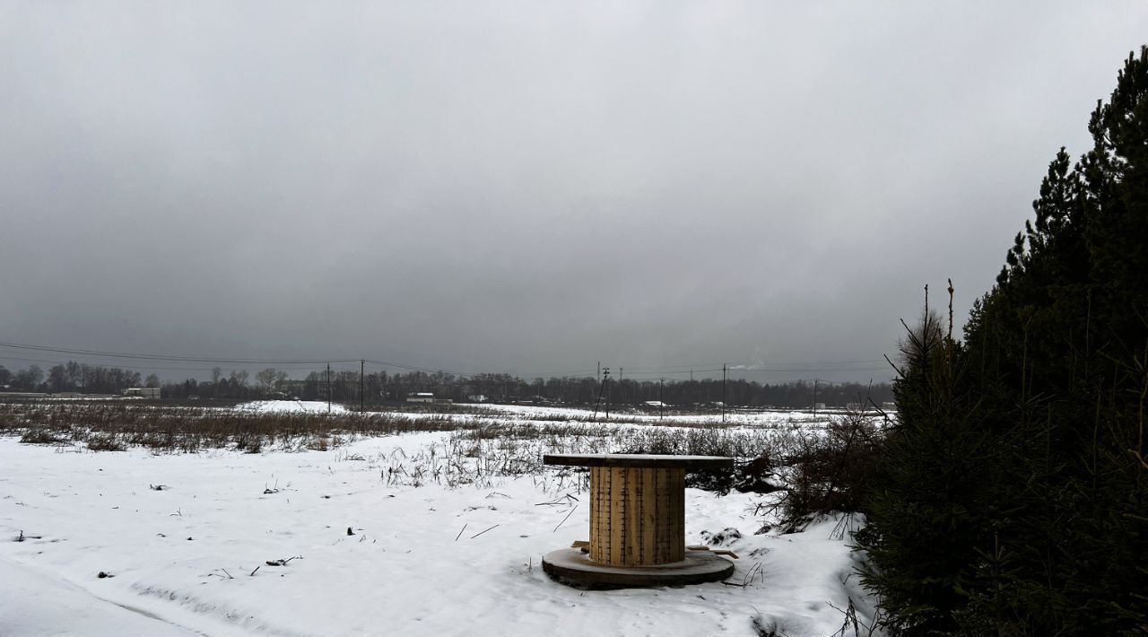 земля городской округ Пушкинский с Братовщина ул Центральная фото 22