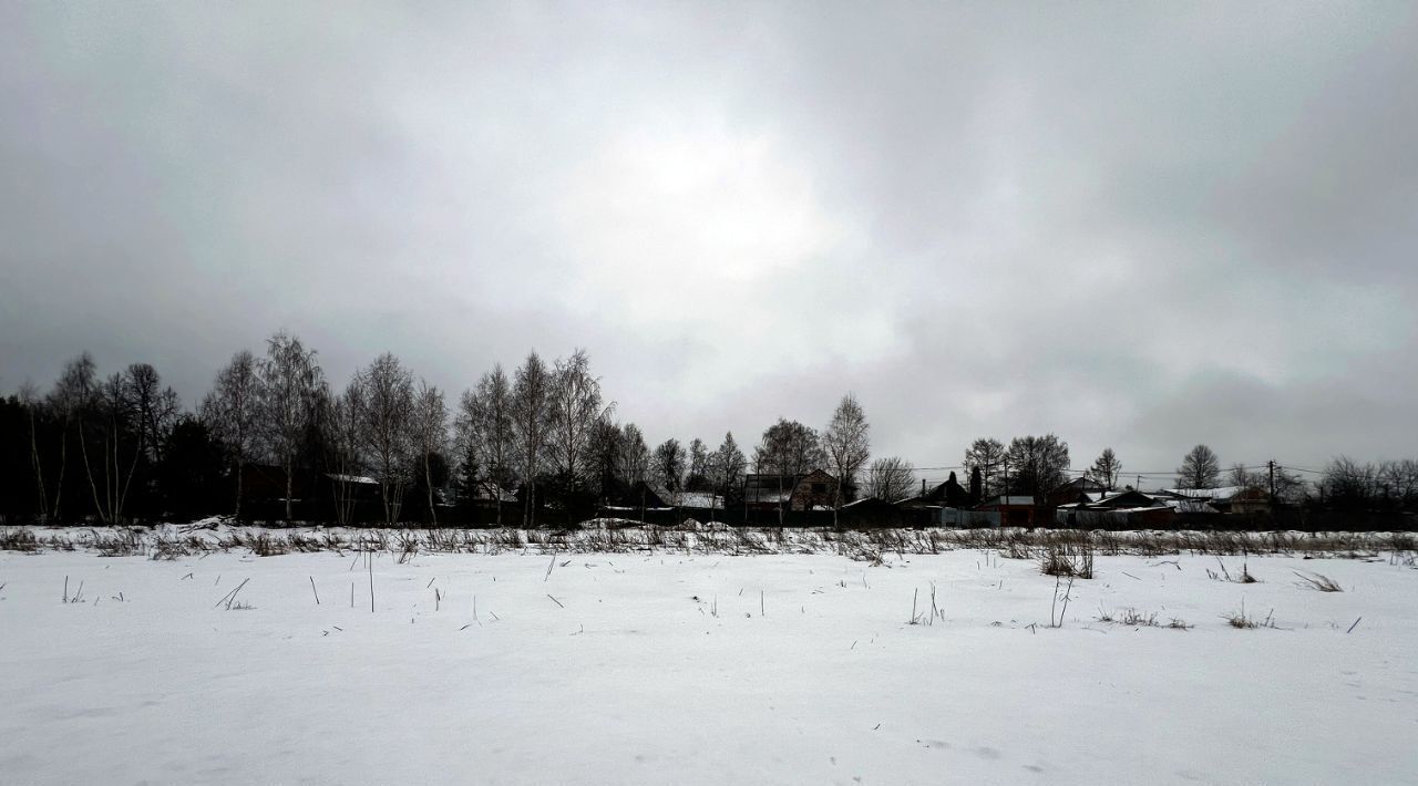 земля городской округ Пушкинский с Братовщина ул Центральная фото 12