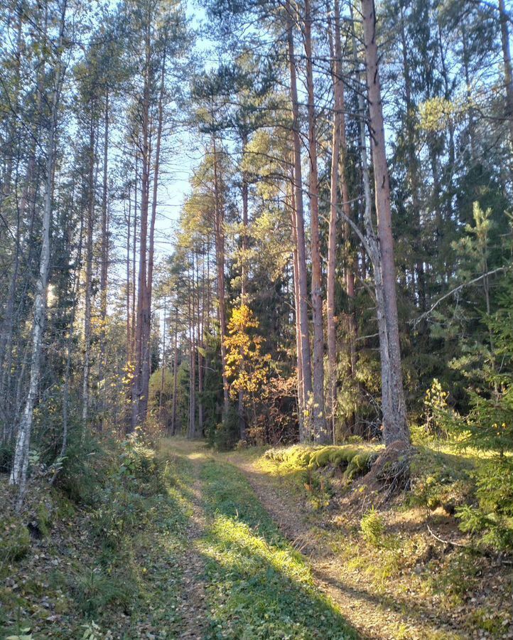 земля р-н Демянский д Овинчище Валдай фото 18