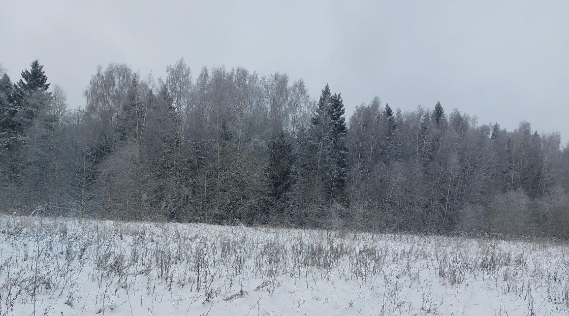 земля городской округ Наро-Фоминский п Новая Ольховка фото 1