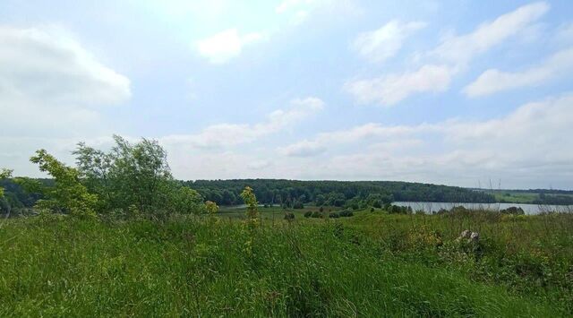 земля д Подмалинки Коломна городской округ фото