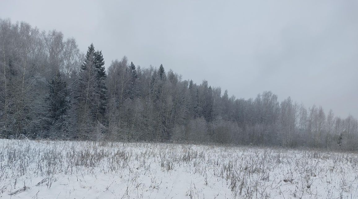 земля городской округ Наро-Фоминский п Новая Ольховка фото 2