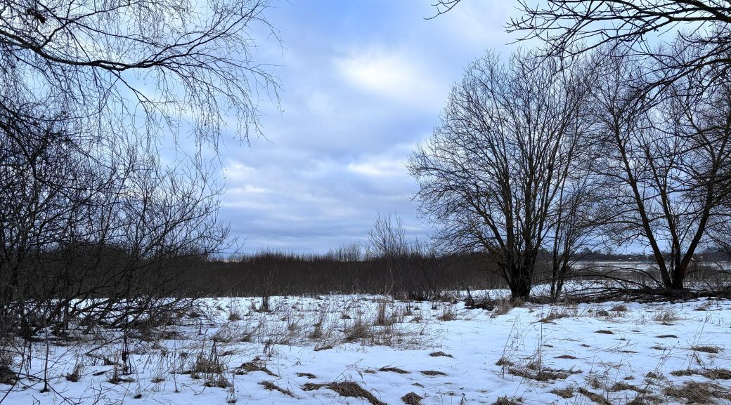 земля городской округ Клин д Ватолино фото 3