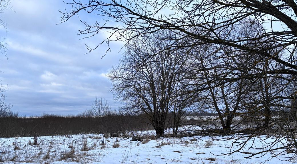 земля городской округ Клин д Ватолино фото 5