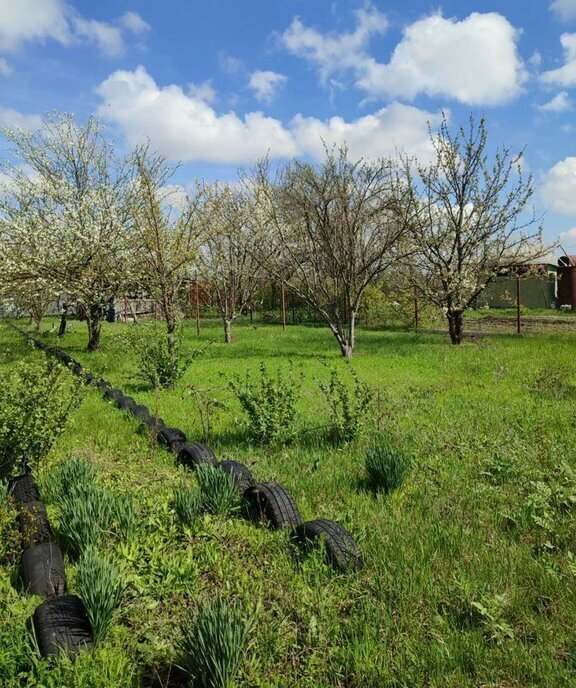 земля р-н Азовский с Кулешовка ул Ленина 155 фото 7