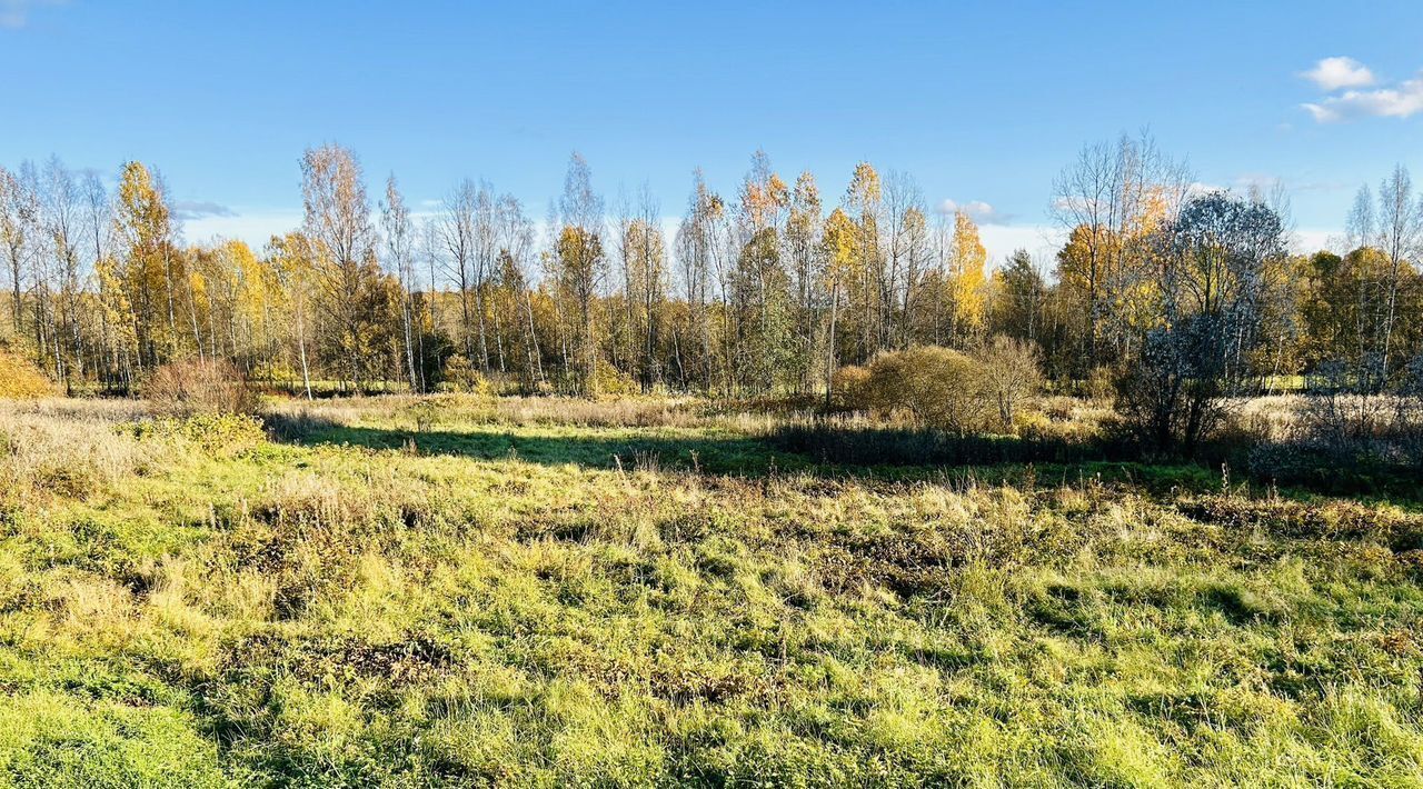 земля р-н Выборгский п Волочаевка Рощинское городское поселение фото 7