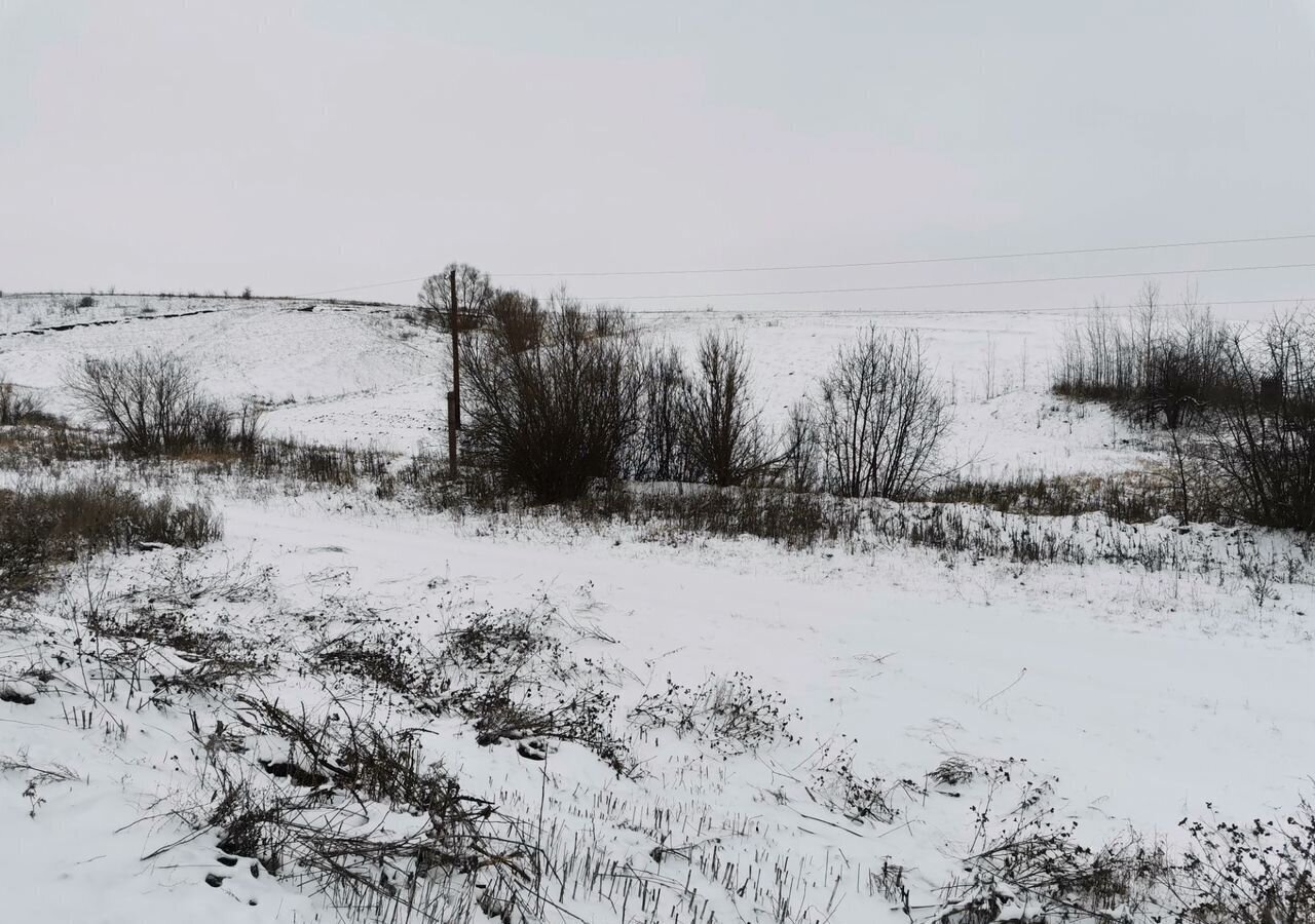 дом р-н Хохольский с Староникольское ул Советская Хохол фото 7