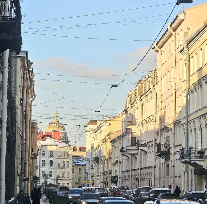 квартира г Санкт-Петербург метро Садовая пр-кт Римского-Корсакова 8/18 фото 9