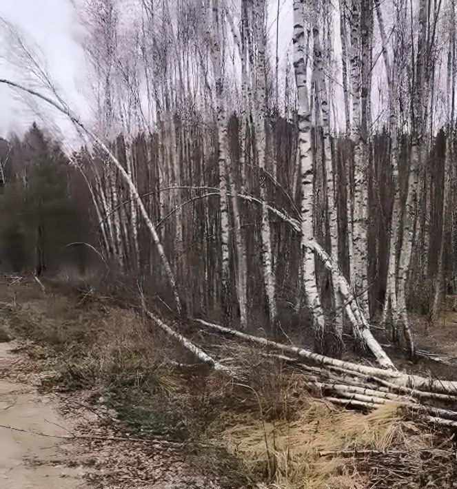 земля р-н Ясногорский д Федоровка Иваньковское с/пос фото 3