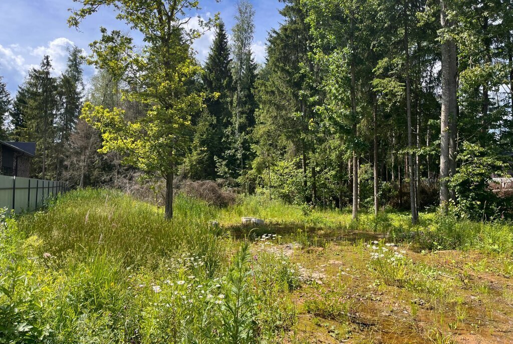 земля городской округ Раменский днп Топаз 314, Одинцовский городской округ фото 1