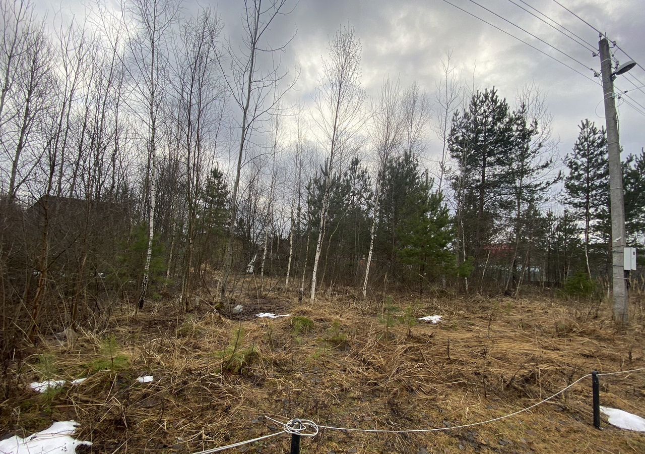 земля городской округ Орехово-Зуевский п 1-го Мая снт Энергопром 86 км, 98, Орехово-Зуево, Горьковское шоссе фото 2