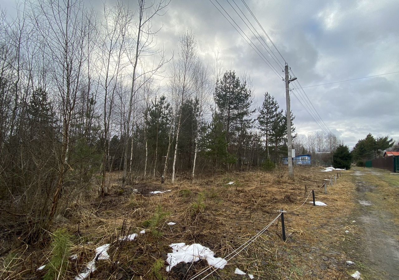 земля городской округ Орехово-Зуевский п 1-го Мая снт Энергопром 86 км, 98, Орехово-Зуево, Горьковское шоссе фото 3