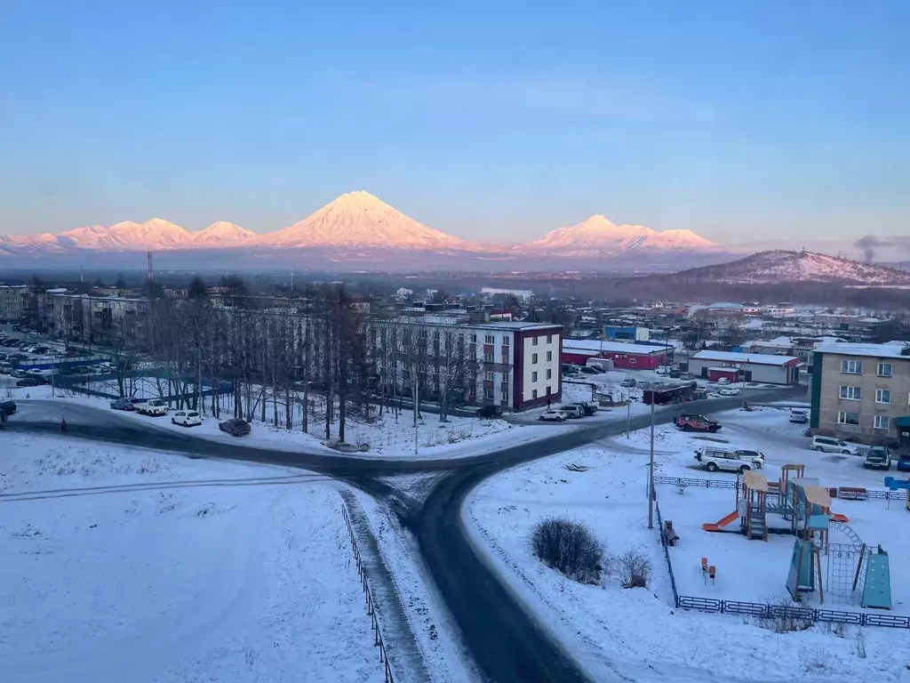 квартира р-н Елизовский г Елизово ул Лесная 14 фото 5