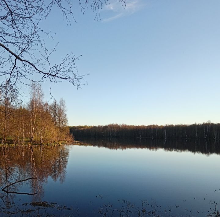 дом р-н Городецкий д. Яришное фото 9