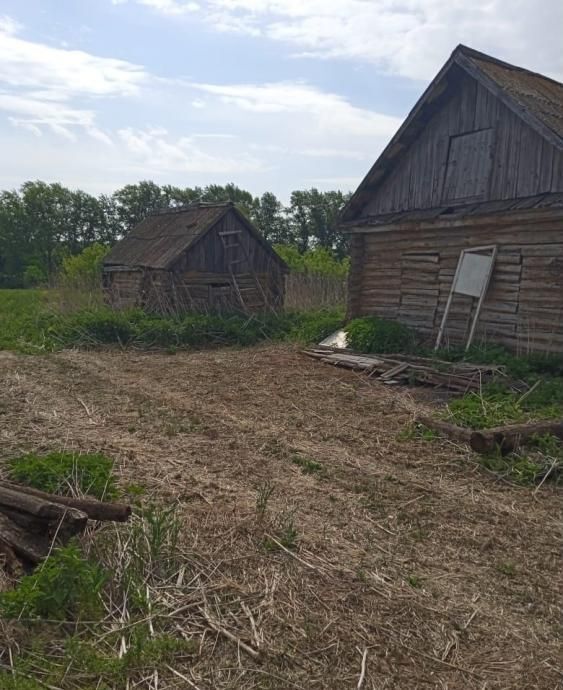 земля р-н Давлекановский д Япар-Янбеково Имай-Кармалинский сельсовет, Давлеканово фото 3