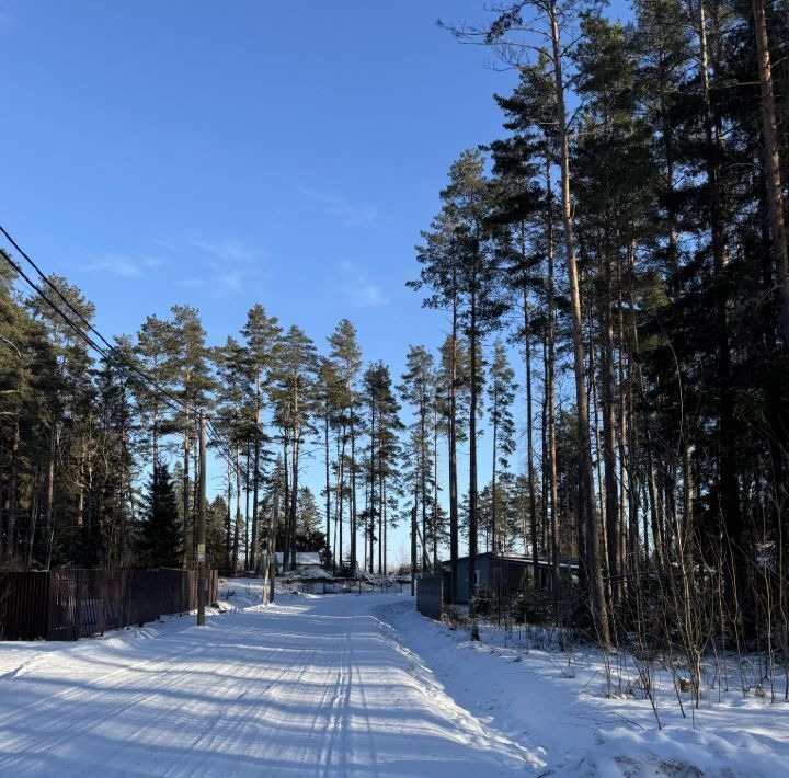 земля р-н Выборгский Приморское городское поселение, Сосновый пляж кп фото 1