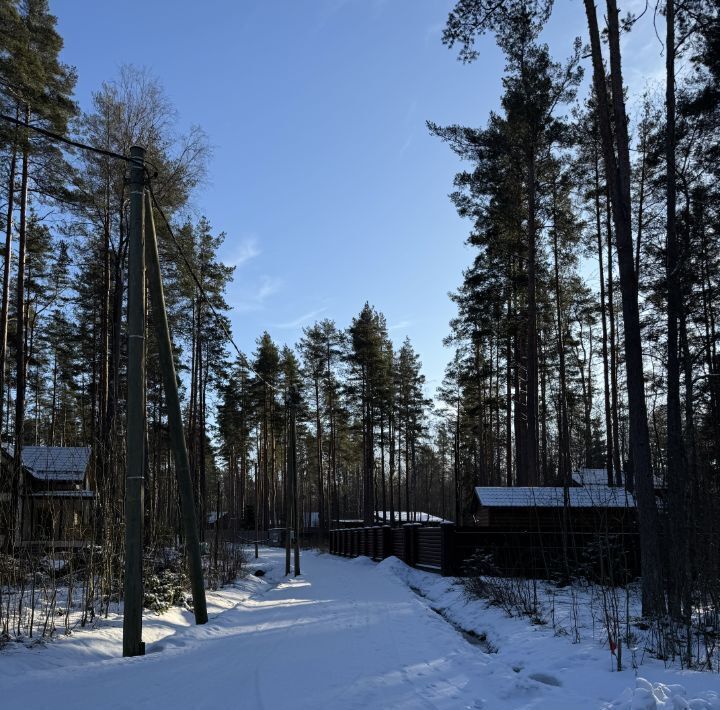 земля р-н Выборгский Приморское городское поселение, Сосновый пляж кп фото 3