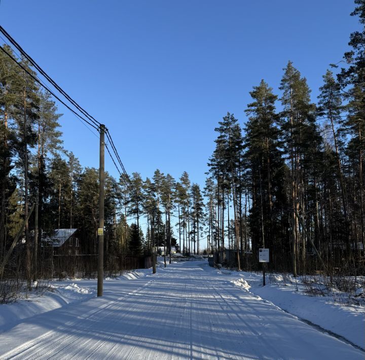 земля р-н Выборгский Приморское городское поселение, Сосновый пляж кп фото 7