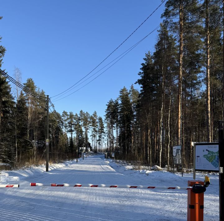 земля р-н Выборгский Приморское городское поселение, Сосновый пляж кп фото 10