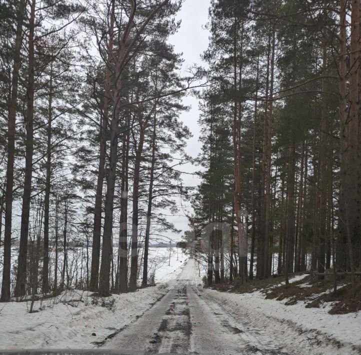 земля р-н Приозерский п Соловьевка ул Центральная Плодовское с/пос фото 5