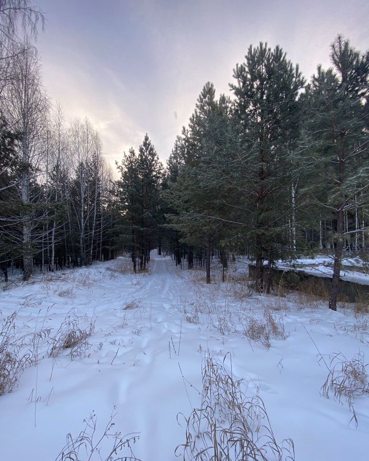 земля р-н Белоярский с Черноусово Двуреченск фото 8