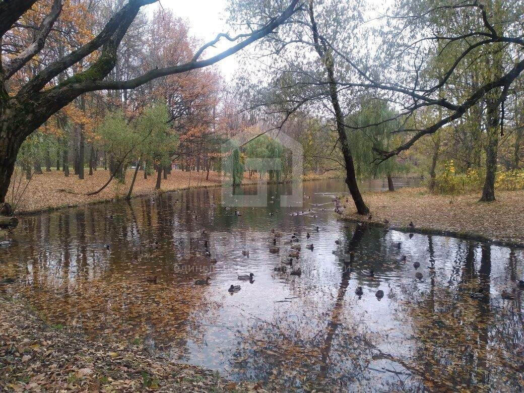 квартира г Санкт-Петербург р-н Красносельский ул Пограничника Гарькавого 14к/2 фото 18