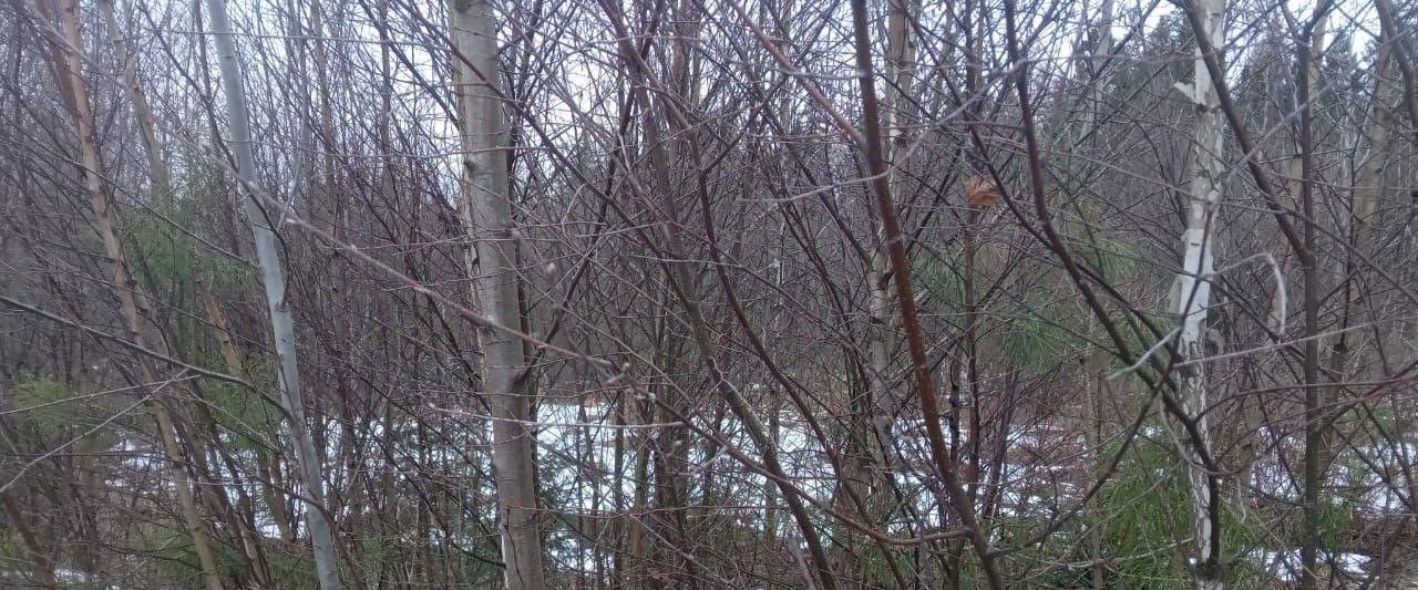 офис городской округ Талдомский д Большое Страшево СТ, Дубна, юго-восточнее фото 1