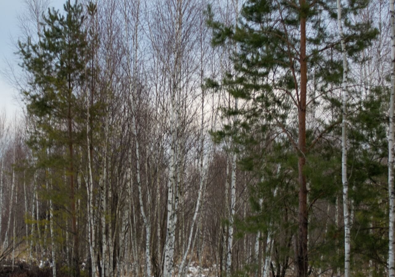 земля городской округ Серпухов д Тульчино 82 км, Пущино, Симферопольское шоссе фото 6