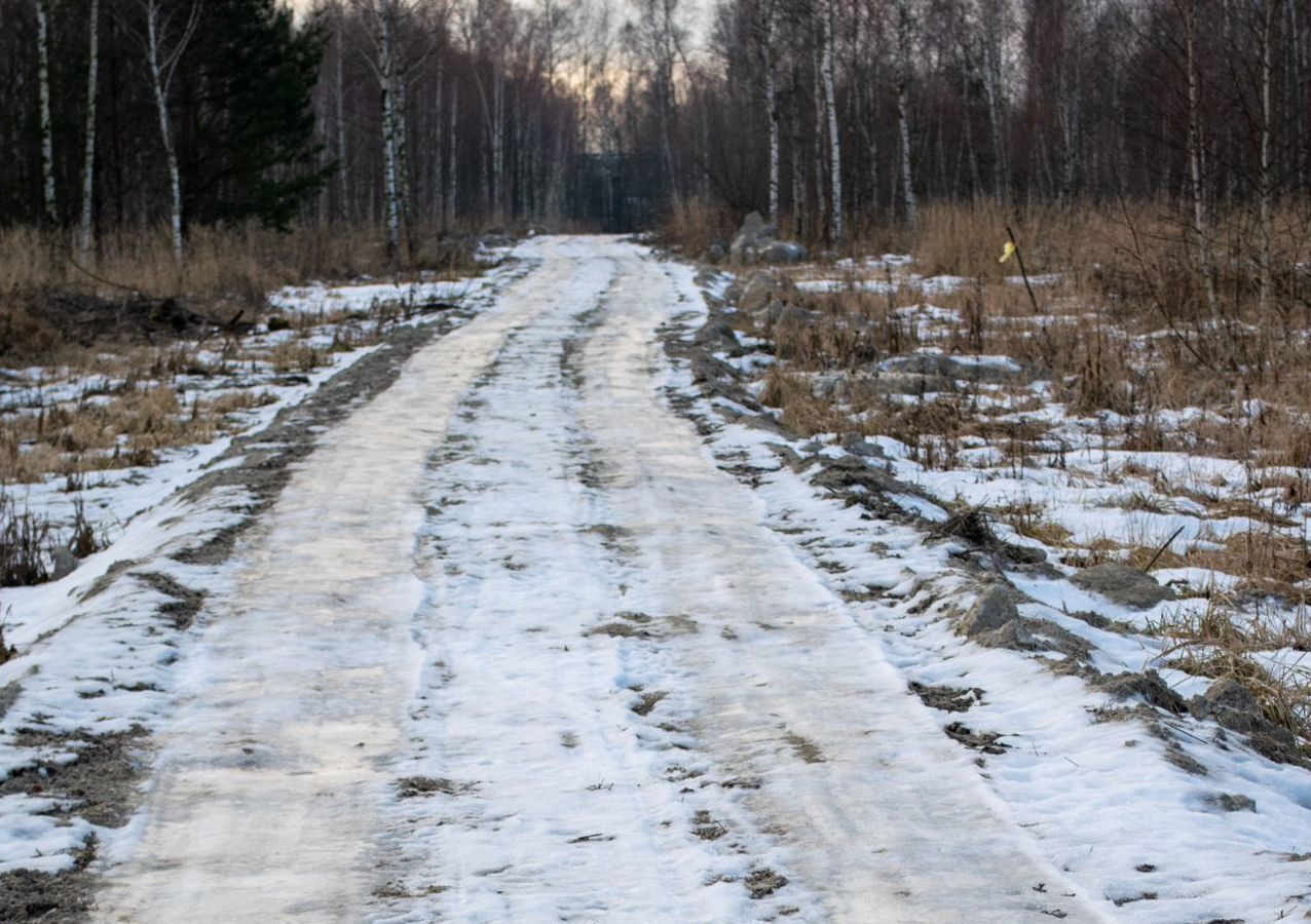 земля городской округ Серпухов д Пущино 82 км, Пущино, Коммунальный пр, Симферопольское шоссе фото 7