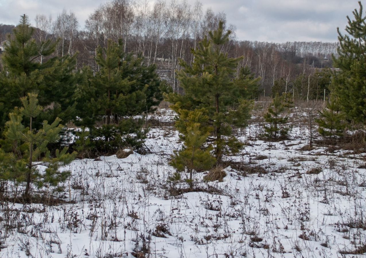 земля городской округ Серпухов д Пущино 82 км, Пущино, Коммунальный пр, Симферопольское шоссе фото 12