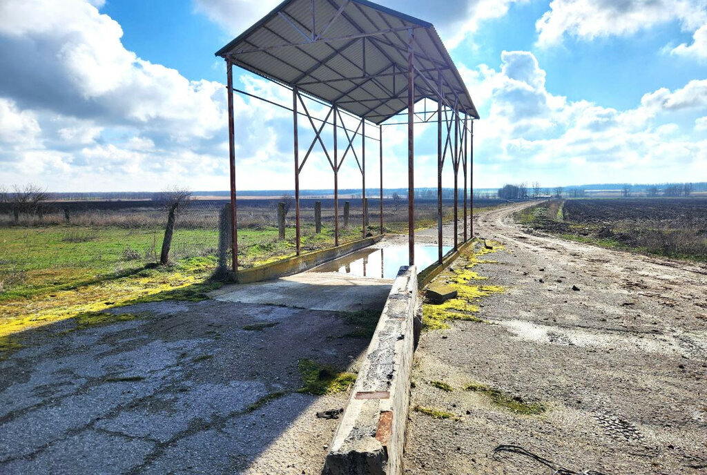 производственные, складские р-н Брюховецкий с Свободное ул Октябрьская фото 19