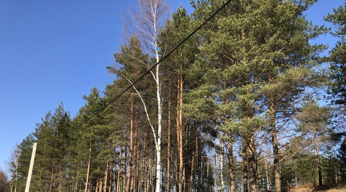 земля р-н Всеволожский д Мистолово Бугровское городское поселение, Парнас фото 7