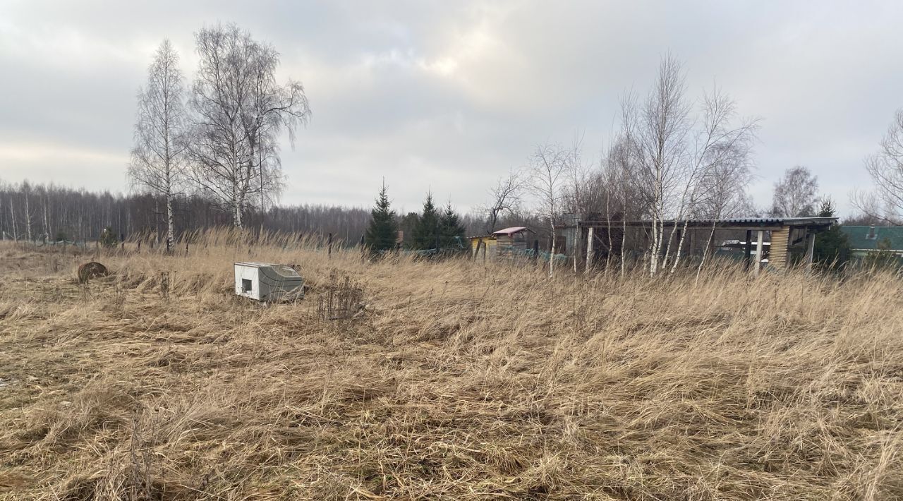 земля городской округ Орехово-Зуевский д Софряково фото 3