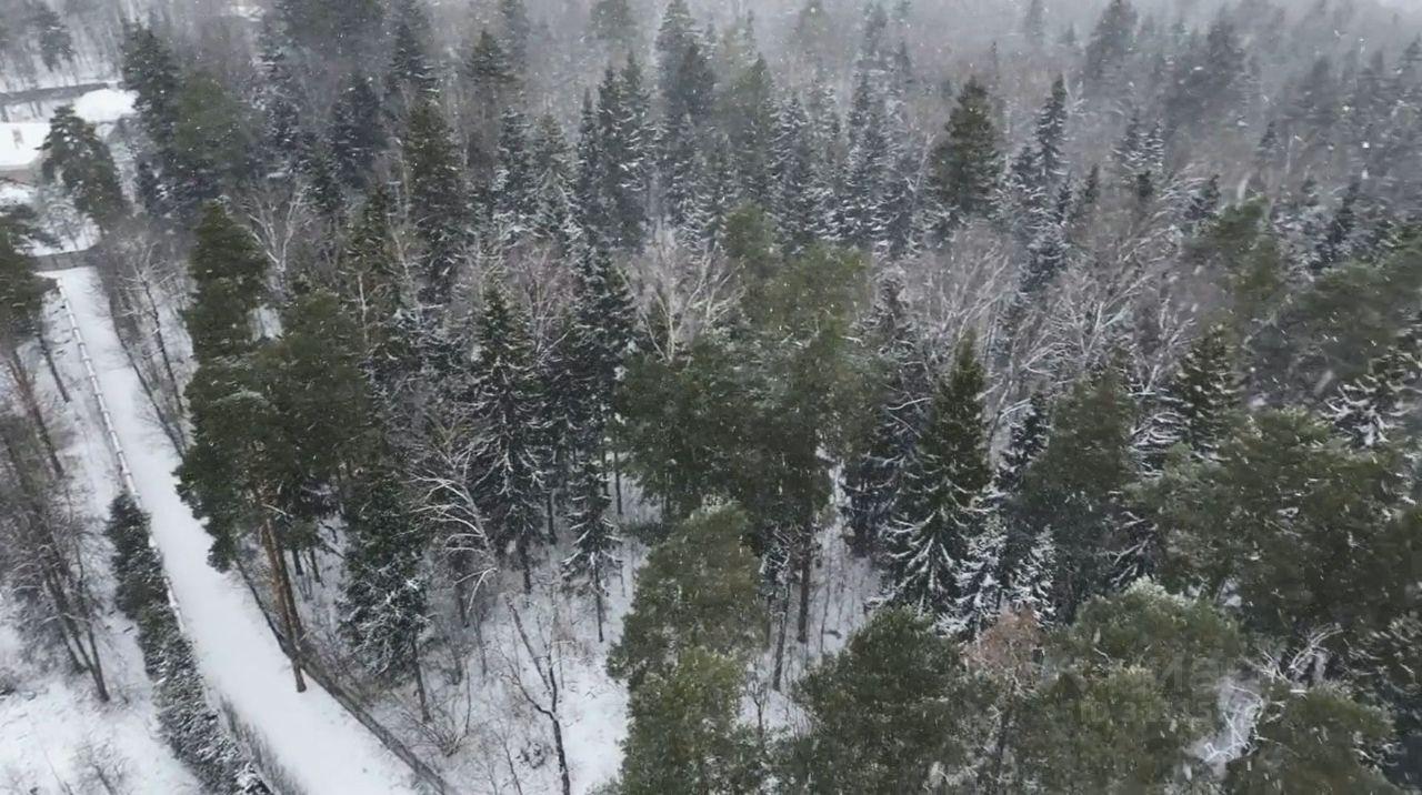 земля городской округ Одинцовский г Звенигород КИЗ «Изумрудный лес», 37 фото 3