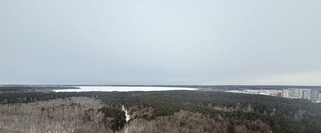 р-н Кировский дом 7а ЖК «Парк Каменные Палатки» Площадь 1905 года фото