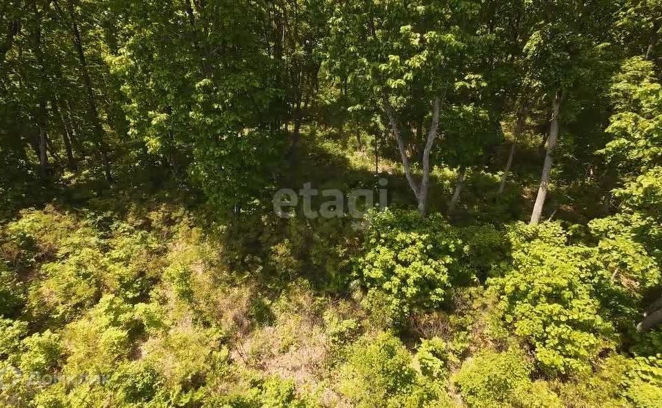 земля г Владивосток р-н Советский Владивостокский городской округ, Советский район фото 4