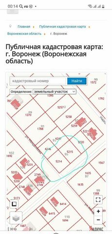 с Новая Усмань ул Менделеева Усманское 1-е сельское поселение фото