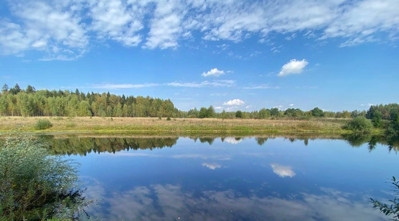 дом городской округ Мытищи д Протасово Лисья Горка кп, 54 фото 8