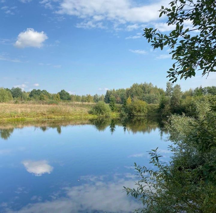 дом городской округ Мытищи д Протасово Лисья Горка кп, 54 фото 32