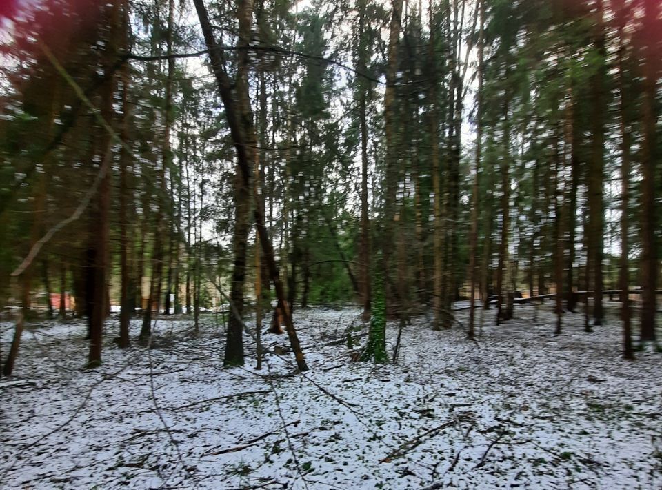 офис городской округ Ступино д Бекетово фото 1