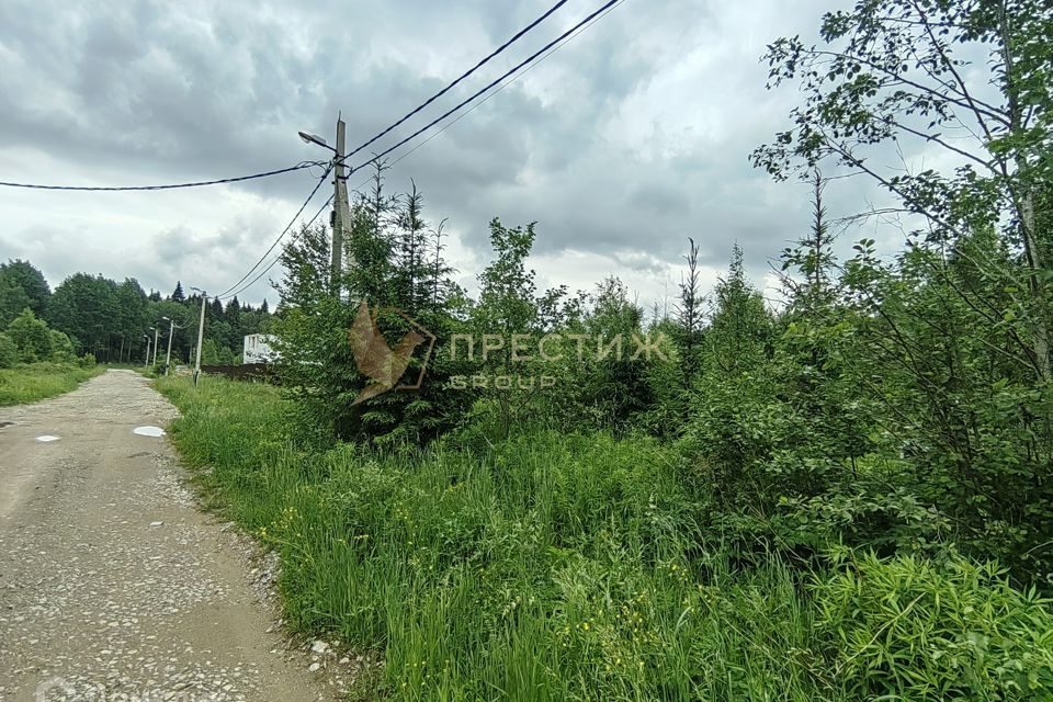 земля городской округ Сергиево-Посадский деревня Маньково фото 3