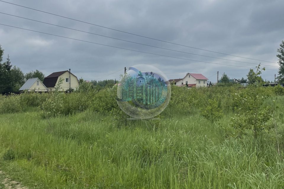 земля г Домодедово СНТ Надежда-6, Домодедово городской округ фото 3