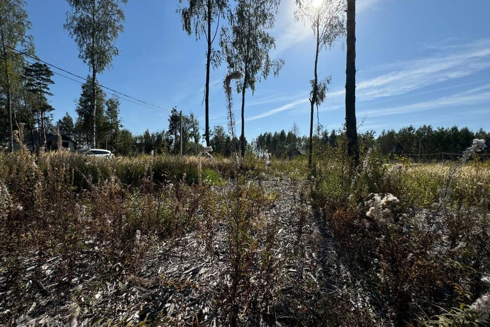 земля городской округ Раменский коттеджный посёлок Гжельский лес, 41 фото 4