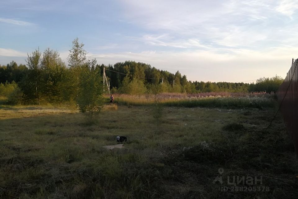 земля городской округ Клин садоводческое некоммерческое товарищество Малинаград фото 2