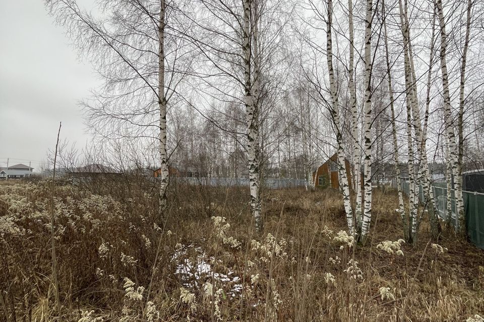 земля городской округ Павловский Посад зона массив Берёзки фото 3