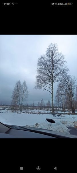 земля р-н Всеволожский д Керро Гараж фото 3